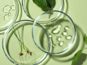 Formulation Clinic